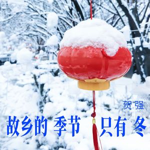 故乡的季节只有冬