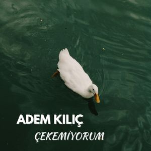 Çekemiyorum