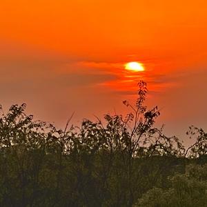 斑马斑马（翻唱说唱版）