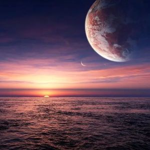 唯有沉默最心酸