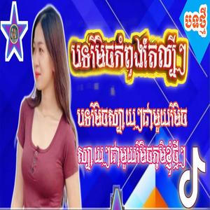 Heavy Bass បុកបាសញាក់ បទរីមិចល្បីៗបុកសាហាវ