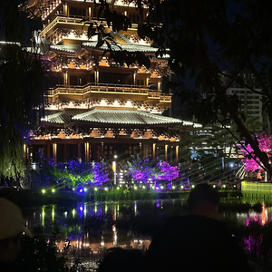 春天的风来到了冬天