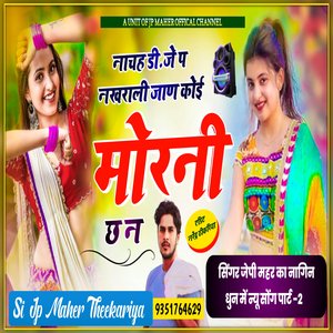 नाचह डीजे प नखराली जाण कोई नागणी छ न (Rajsthani)