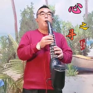 心之寻（电吹管）