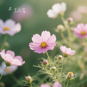 一花一世界满心都是爱