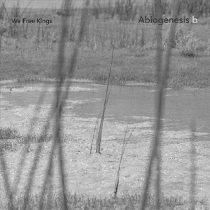 Abiogenesis 2: Message Relive