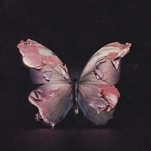 手写信（prod undislove）