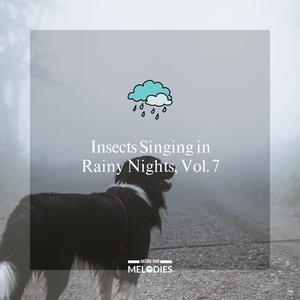 Dark Moderate Rain Dripping