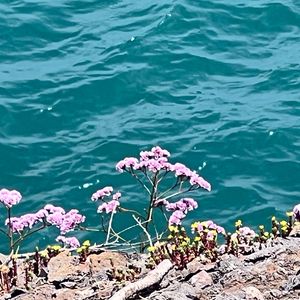 氚入海底