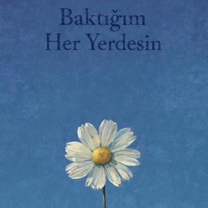 Baktığım Her Yerdesin