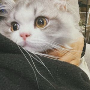 太阳与我一同狂奔