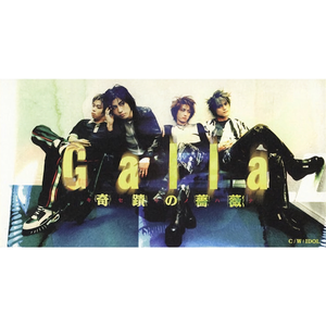 奇迹の蔷薇(キセキノハナ)(インストゥルメンタル)