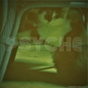 Psyche