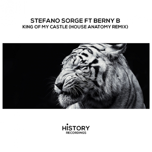 King Of My Castle (House Anatomy Classic Mix)