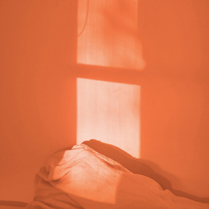 무서워서 잡지도 못하는거야