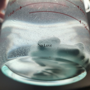 No Love