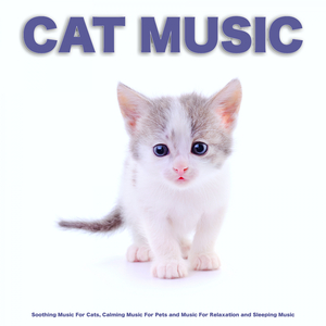 Calm Sleeping Music For Cats