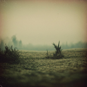 Gravel After the Open Door