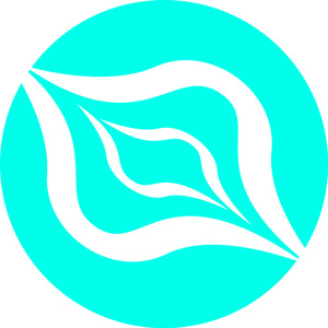 Slowest (Original Mix)