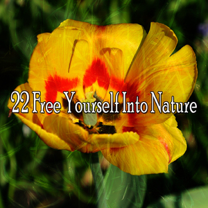 蓋亞斯生命給予的呼吸