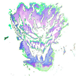 Overriding (Speed Up Version)