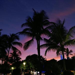 Neon Dreams (Falling) prod. Ryini