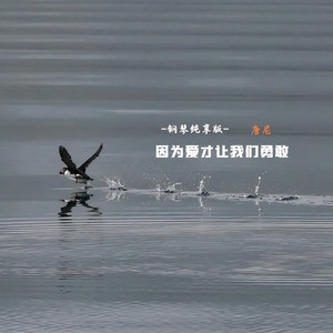 因为爱才让我们勇敢 (钢琴纯享版)