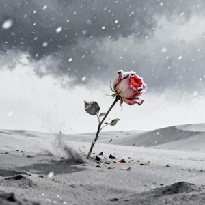 将那思念熬成月光(R&B版)