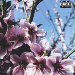 花蕊（prod by 4_Chords/Furyl）