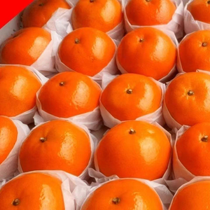 如果是你 狂风暴雨我也愿意