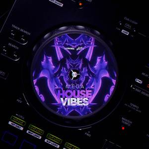 Mega House Vibes