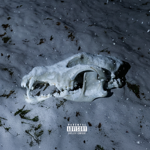 Freeze (ProdCashP / JWHALC)