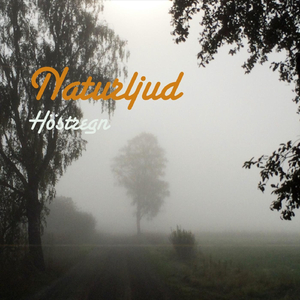 Kraftigt Höstregn i trädgård