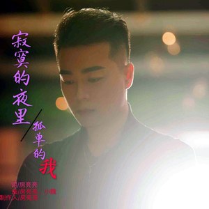 寂寞的夜里孤单的我 (伴奏)