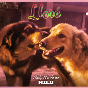 Lloré