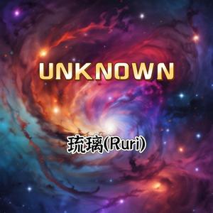 UNKNOWN（未知）