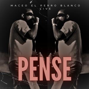 pense (live)