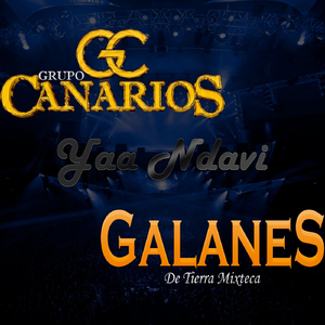 Yaa Ndavi (feat. Galanes de Tierra Mixteca)