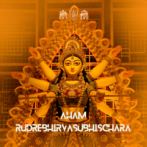 Aham Rudrebhirvasubhischara