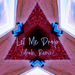 Let Me Drop (drole. Remix)