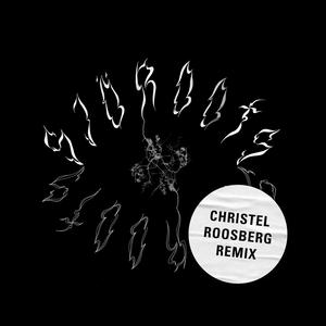 SJÖROOTS (Christel Roosberg Remix)