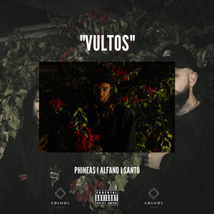 Vultos