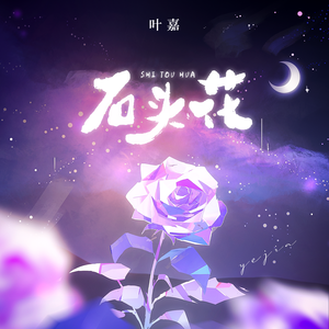 石头花（伴奏）