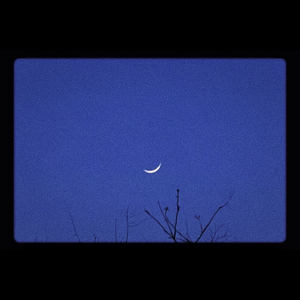 夏夜晚风（Cover 伍佰）