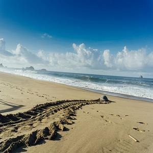 Samudra