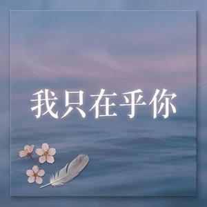 我只在乎你