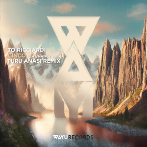 Cinco (Turu Anasi Remix)