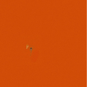 9-26-19_skin