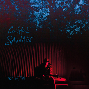 La Rose Et La Tulipe