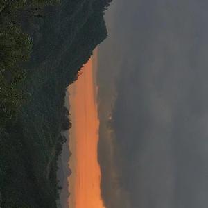 日记